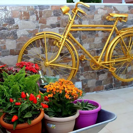 Chania דירה חאניה